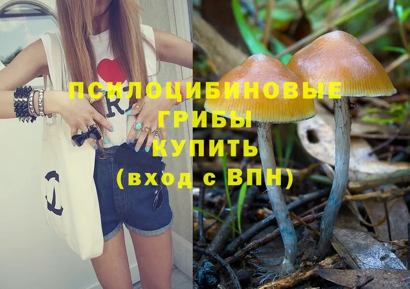 blacksprut   мориарти клад  Псилоцибиновые грибы Psilocybe  Курганинск 